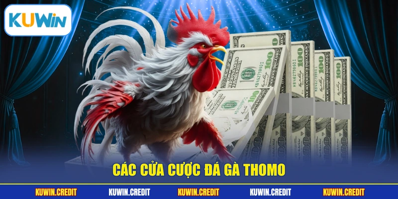 Các cửa cược đá gà Thomo