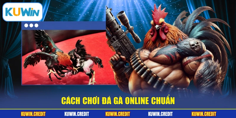 Cách chơi đá gà online chuẩn