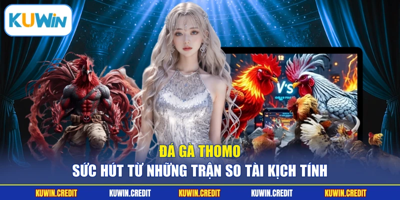 Đá Gà Thomo - Sức Hút Từ Những Trận So Tài Kịch Tính