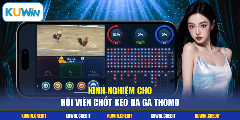 Kinh nghiệm cho hội viên chốt kèo đá gà Thomo