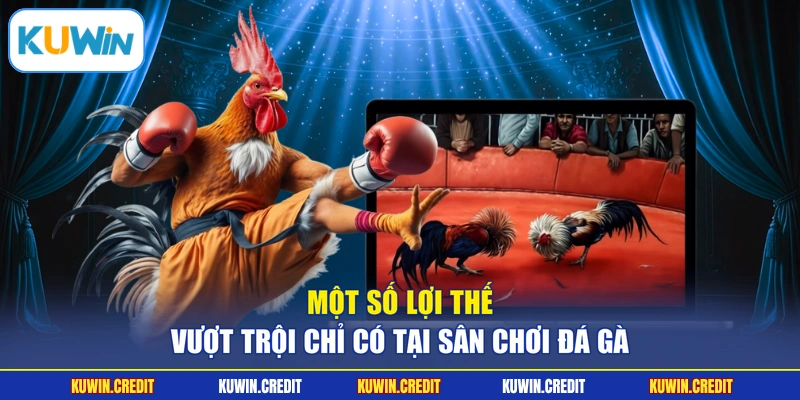 Một số lợi thế vượt trội chỉ có tại sân chơi đá gà