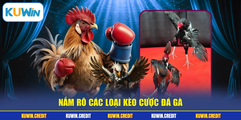 Nắm rõ các loại kèo cược đá gà