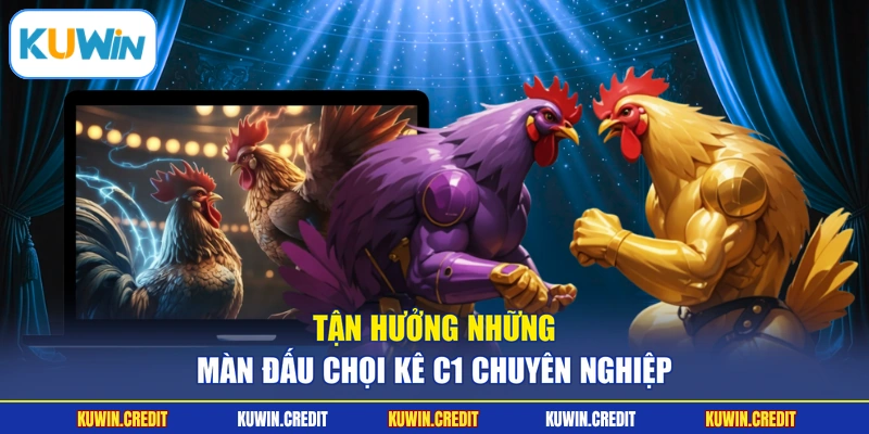 Tận hưởng những màn đấu chọi kê C1 chuyên nghiệp